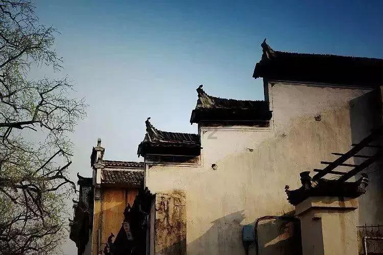 千万粉丝大V“浪胃仙”遭前老板声讨,究竟是过河拆桥还是另有他因?知识星球-深度专业内容分享